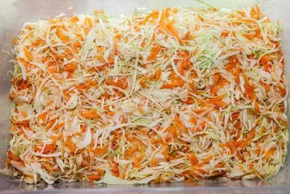 Квашена капуста з цукром і журавлиною - рецепт сучасної домашньої кухні з фото