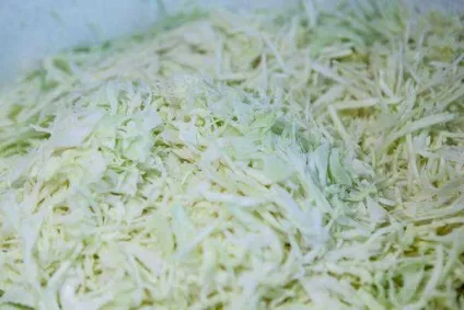 Квашена капуста з цукром і журавлиною - рецепт сучасної домашньої кухні з фото