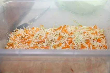 Квашена капуста з цукром і журавлиною - рецепт сучасної домашньої кухні з фото