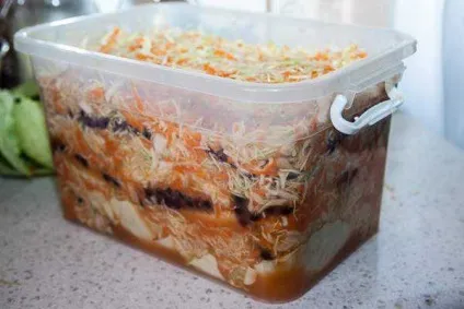 Квашена капуста з цукром і журавлиною - рецепт сучасної домашньої кухні з фото