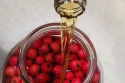 Лікування кардіосклерозу народними засобами (народними) Лікування кардіосклерозу народними засобами