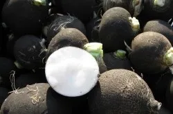Лікування ангіни народними засобами (здорове горло) Лікування ангіни народними засобами