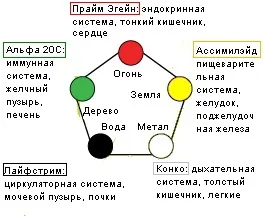 Лайфстрім Санрайдер - харчування циркуляційної системи нирки сечовий міхур (лайфстрім Санрайдер) Лайфстрім Санрайдер - харчування циркуляційної системи нирки сечовий міхур