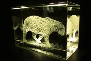Лазерне гравірування усередині скла, об'ємна 3d лазерне гравіювання всередині скла як бізнес, (всередині) Лазерне гравірування усередині скла, об'ємна 3d лазерне гравіювання всередині скла як бізнес,