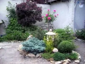 Ландшафтний дизайн з декоративною сизої ялиною - красиві композиції (ялиною) Ландшафтний дизайн з декоративною сизої ялиною - красиві композиції