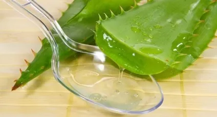 Лікування виразки шлунка народними засобами (шлунка) Лікування виразки шлунка народними засобами