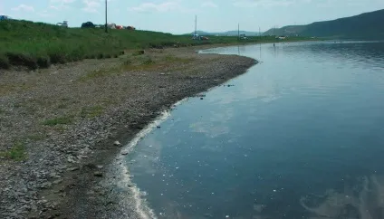 Лікування псоріазу на солоних озерах