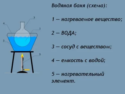 Лікування медом кишечника і шлунка (шлунка) Лікування медом кишечника і шлунка