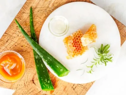 Лікування медом кишечника і шлунка (лікування) Лікування медом кишечника і шлунка
