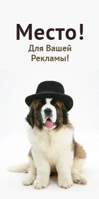 Линька у собак