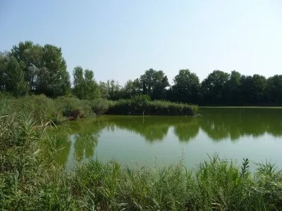 Ловля сома на спінінг риболовля не для людей зі слабкими нервами (лову сома спінінг) Ловля сома на спінінг риболовля не для людей зі слабкими нервами
