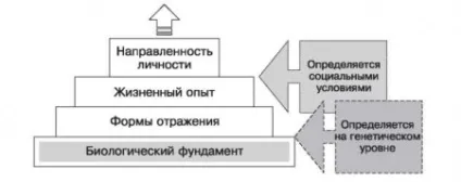 Особистість - сторінка 2 з 6 (Структура особистості Платонову) Особистість - сторінка 2 з 6