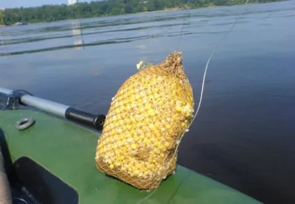 Ловля ляща на кільце з човна і з берега (берега) Ловля ляща на кільце з човна і з берега