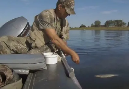 Ловля ляща на кільце з човна і з берега (берега) Ловля ляща на кільце з човна і з берега