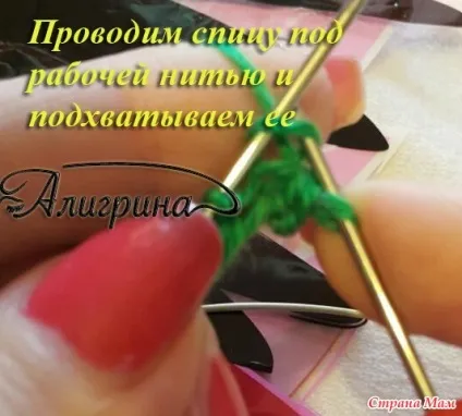 лицьові петлі