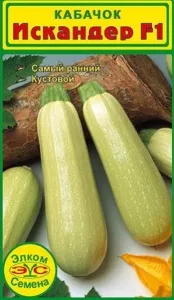 Кращі сорти кабачків опис, відгуки, фото, характеристика (опис) Кращі сорти кабачків опис, відгуки, фото, характеристика