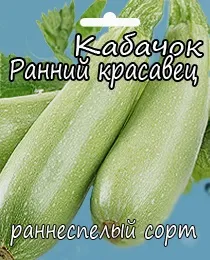 Кращі сорти кабачків для відкритого грунту для середньої смуги (грунту) Кращі сорти кабачків для відкритого грунту для середньої смуги