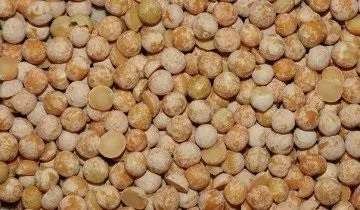 Лущений горох, мозковий або цукровий - що вибрати (мозковий) Лущений горох, мозковий або цукровий - що вибрати