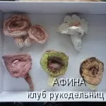 Підготовка та змішування кольорів полімерної глини