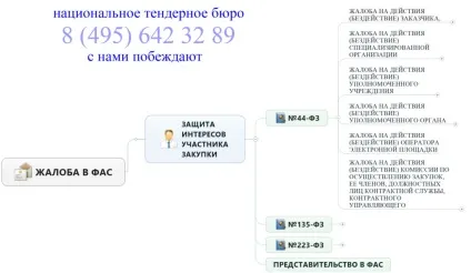 Підготовка скарги в фас, стратегія закупівель (статті Закону 44-ФЗ) Підготовка скарги в фас, стратегія закупівель