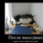 Цікаво, як визначити, що ти худнеш, якщо немає ваг (нету) Цікаво, як визначити, що ти худнеш, якщо немає ваг