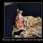 Цікаво, як визначити, що ти худнеш, якщо немає ваг (цікаво) Цікаво, як визначити, що ти худнеш, якщо немає ваг