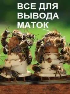 Використання магазинних надставок у вуликах лежаках (вуликах) Використання магазинних надставок у вуликах лежаках