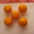 Майстер-клас з виготовлення вироби з непридатного матеріалу «весела бджілка»