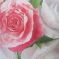 Майстер-клас з лозоплетіння (для педагогів) Майстер-клас з лозоплетіння