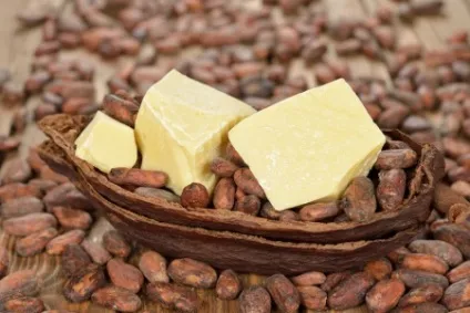 Масло какао для обличчя відгуки косметологів про застосування маски для шкіри (масло) Масло какао для обличчя відгуки косметологів про застосування маски для шкіри