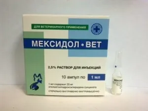 Мексидол вет інструкція із застосування, показання, протипоказання, відгуки (імуностимулятор для кішок) Мексидол вет інструкція із застосування, показання, протипоказання, відгуки