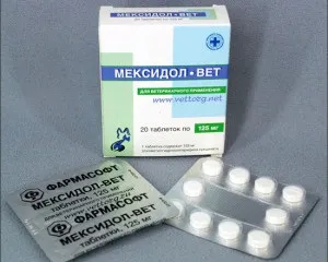Мексидол вет інструкція із застосування, показання, протипоказання, відгуки (імуностимулятор для кішок) Мексидол вет інструкція із застосування, показання, протипоказання, відгуки