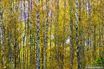місця Підмосков'я