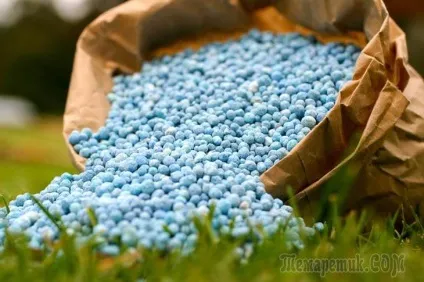 Мінеральні добрива - види та застосування (застосування) Мінеральні добрива - види та застосування