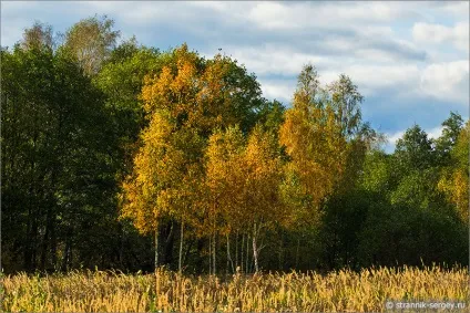 місця Підмосков'я