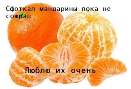 Мем «сфоткал поки я сплю» і його пародії (24 фото) (пародії) Мем «сфоткал поки я сплю» і його пародії (24 фото)