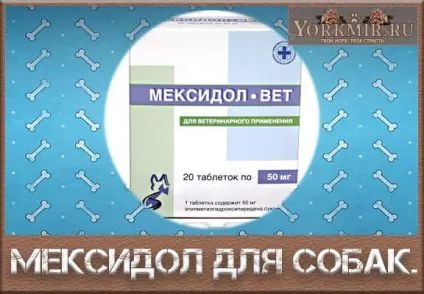 Мексидол для собак, інструкція із застосування, дозування (мексидол) Мексидол для собак, інструкція із застосування, дозування