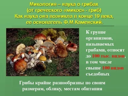 Мікологія - наука про гриби (від грецького «микос» - гриб) як наука - презентація 14095-2 (гриби) Мікологія - наука про гриби (від грецького «микос» - гриб) як наука - презентація 14095-2