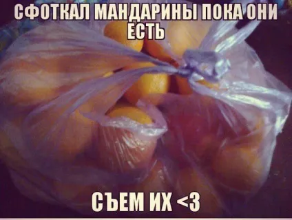 Мем «сфоткал поки я сплю» і його пародії (24 фото) (поки) Мем «сфоткал поки я сплю» і його пародії (24 фото)