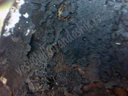 Мокра свічка запалювання на Бензотриммер (двигун бензокоси залило) Мокра свічка запалювання на Бензотриммер