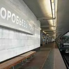 Москва, новини, чоловік вижив після падіння на рейки на станції метро - Воробйови гори (збій) Москва, новини, чоловік вижив після падіння на рейки на станції метро - Воробйови гори