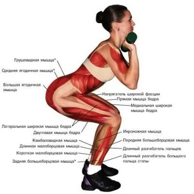 Чи можна присіданнями накачати сідниці