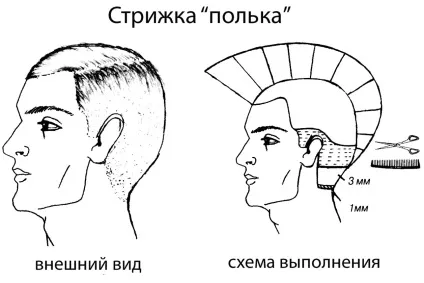 Чоловіча стрижка полька 4 варіації і технологія виконання знаменитої зачіски (технологія) Чоловіча стрижка полька 4 варіації і технологія виконання знаменитої зачіски