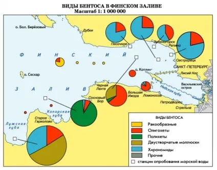 МоряУкаіни - балтійське море