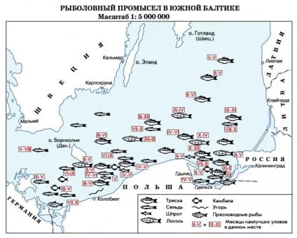МоряУкаіни - балтійське море