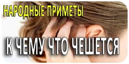 Народні прикмети і забобони (народні прикмети і забобони. До чого) Народні прикмети і забобони