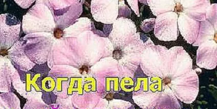 Надія Кадишева - навіщо це літо (минусовка) Надія Кадишева - навіщо це літо