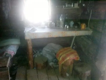 Наші зимарки