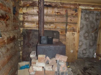 Наші зимарки