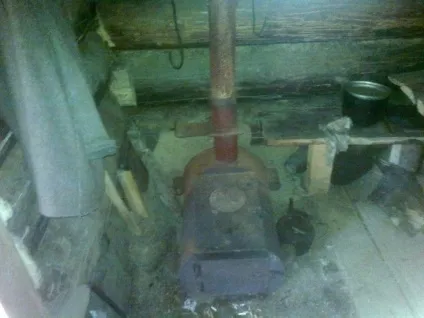 Наші зимарки
